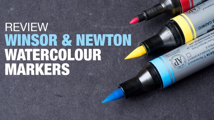 PROMARKER & BrushMarkers by Winsor & Newton Review and DEMO 