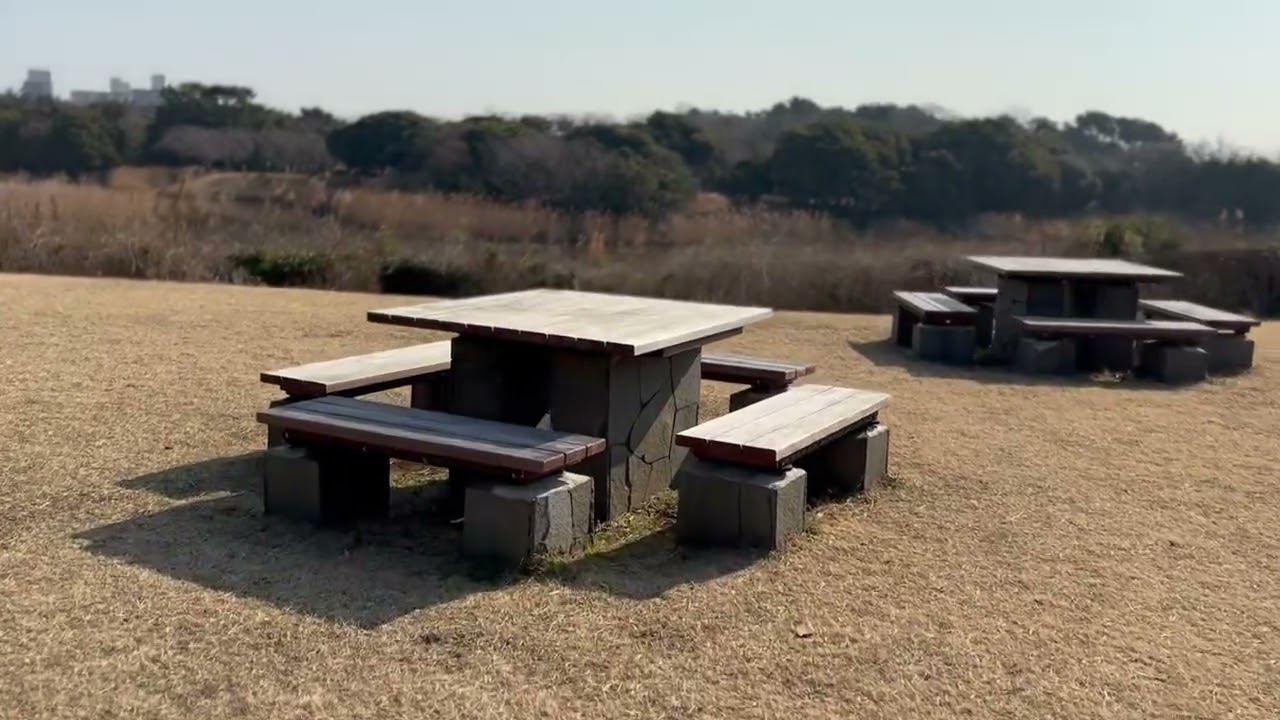 フィールドレコーディング｜葛西臨海公園（2026年2月15日）｜32bitフロート