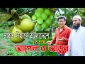 দেশের সীমান্ত এলাকায় আপেল ও আঙুর এর চাষ হচ্ছে । উদ্যোক্তা  একজন শিক্ষক। কিভাবে সম্ভব?