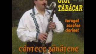 Video thumbnail of "Gigi Tabacar - Brau Banatean la Saxofon 2"