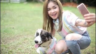 ทานหมาอย่าหัวซากัน - เนสกาแฟ ศรีนคร [Official MV]