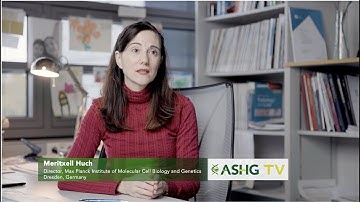 Harnessing the power of organoids