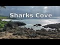 Hawaii Snorkeling Spot. Sharks Cove North Shore, Oahu.