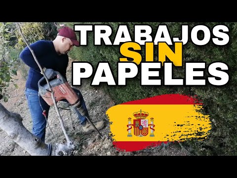 CÓMO ES TRABAJAR sin PAPELES en ESPAÑA ?