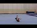 Level 3 floor routine  montserrat  auswag