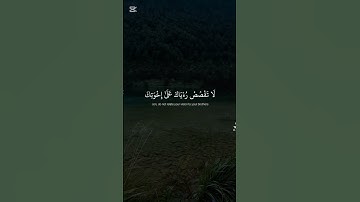 القرآن الكريم سورة يوسف/تلاوه رائعه للشيخ ياسر/اللهم ارزق كل من ضع متابعه ما يتمناه #اكسبلور #المصحف
