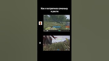 Как я встретила сачельку в RUST. Забавно смотреть игру с других глаз #rust #rustgame #olivka