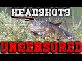 Uncens0red headshots  iguana pest control