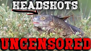 UNCENS0RED Headshots | Iguana Pest Control screenshot 2