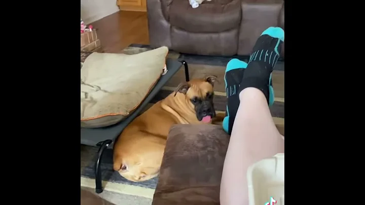 Somebodys watching me