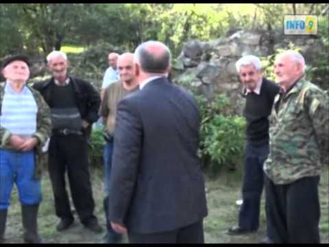 დმანისელ ამომრჩეველი