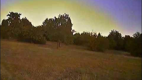 Betaflight 2.9 // Multishot 8khz/8Khz/4Khz Littlebee 20A PID Testing 2