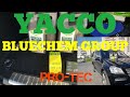 Масло YACCO в мерседес промывка двигателя  от BLUECHEM GROUP PRO-TEC