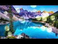 Alexander Pierce Retrospective 
