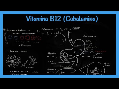 Vídeo: Cobalamina Per A Gats Amb Problemes Digestius Suplements De Cobalamina Per A Problemes Gastrointestinals En Gats