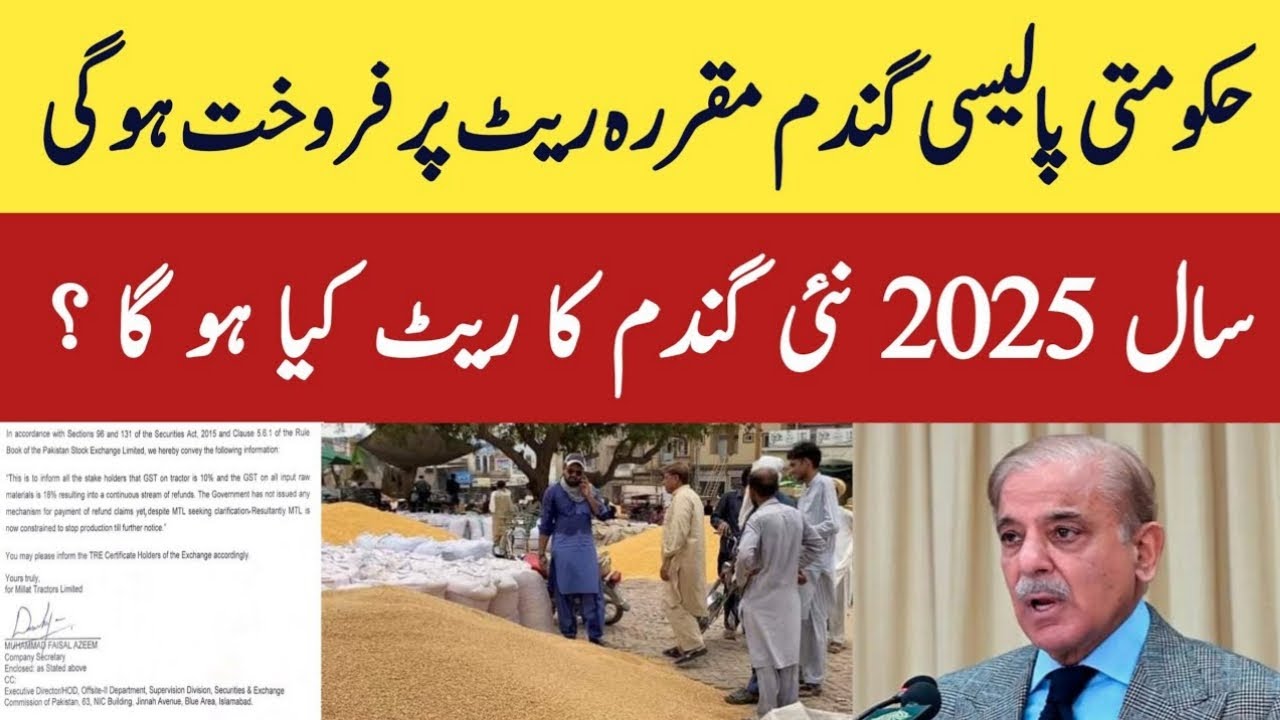 wheat support prince in pakistan 2025 | gandam rate today|Galla Mandi ...
