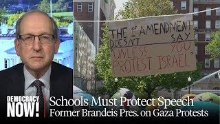 Former Brandeis President on Gaza Protests: Schools Must Protect Free Expression on Campus by Democracy Now! 56,399 views 8 days ago 9 minutes, 48 seconds