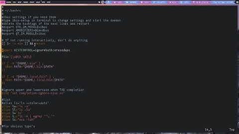 Copy & Paste in vim