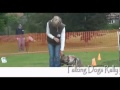Watch my Chops Dog Training - TD Rally Demonstration Watch my Chops Dog Training - TD Rally Demonstration