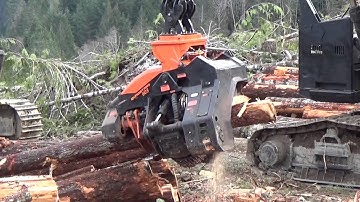 Demonstration of Southstar grapple processor