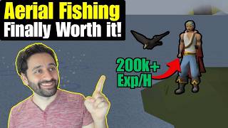 The NEW Aerial Fishing Guide - Everything You Need To Know!