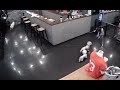 Husky kills poodle in grooming cafe south korea graphic