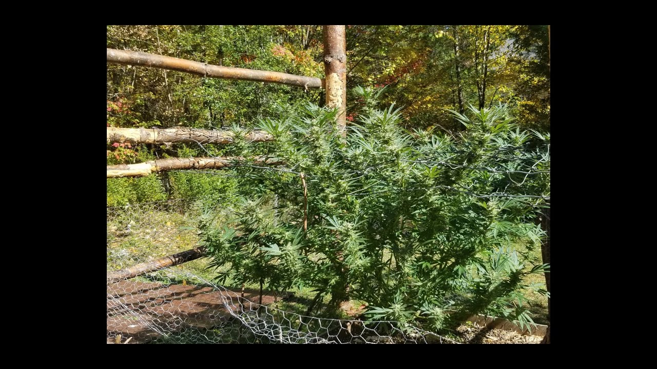 Update da Hidden Blue Delights 👍🤓💖