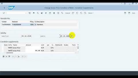 Exercise-12.3 Change Info Record (SAP MM Tutorial)