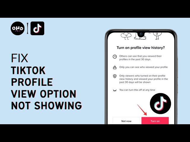 How to check your TikTok profile picture is not showing