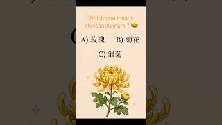 Chrysanthemum in Chinese! 💫 Do you know how to say this flower in Chinese? #chineselearning #study