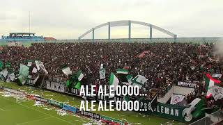 Sleman verde