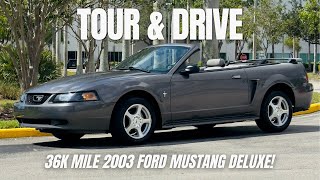 Tour & Drive: 36k Mile 2003 Ford Mustang Deluxe Convertible