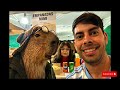 Videos que salieron mal en veo3