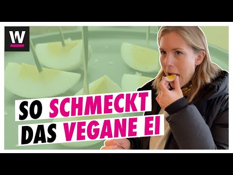 So schmeckt das erste vegane Ei | Review