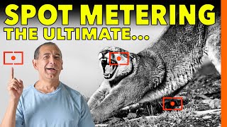 Spot Metering Explained | The Intentional Photography Technique