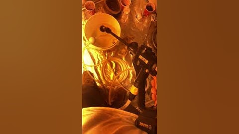 Worx HydroShot Broken After 2 Days of Use