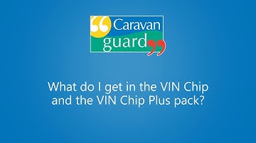 What is VIN Chip and VIN Chip Plus?