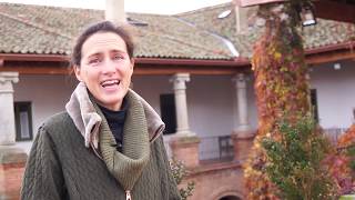 EL PALACIO DE HOYUELOS REPORTAJE