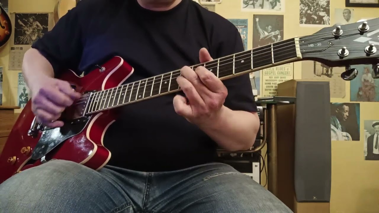 Washburn HB-30 custom