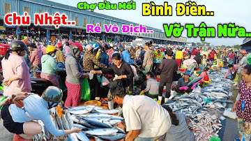 Chủ nhật chợ Bình Điền vỡ trận te tua" tôm Cua Cá ốc bán Rẻ chưa từng thấy