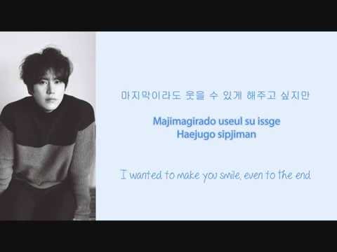 Kyuhyun 조용히 안녕 Last Good Bye Lyrics Hangul Romanization English