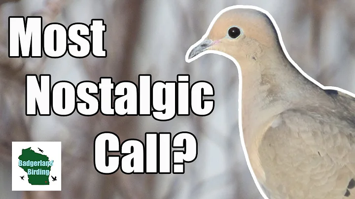 Is THIS the most Nostalgic Bird Call?
