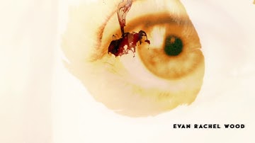 Westworld (intro) fan-made