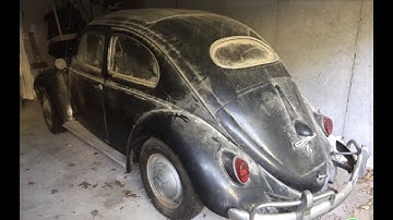 FIRST START IN 35 YEARS - Forgotten 1956 Oval Vw Beetle Rescue - Will it Run?