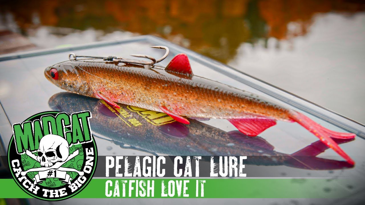 Leurre Souple Cat Pelagic 27cm 60gr Black Cat (Nouveauté 2024) - Pêche -  Silure Access