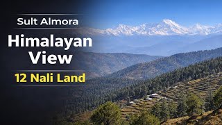 Sult Almora Land with Stunning Himalayan View | 12 Nali Property Part 2