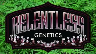 Relentless Genetics
