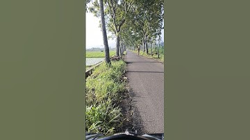 SEMANGAT PEJUANG NAFKAH #viral #short #shorts #shortsvideo #shortvideo #viralshort #viralshorts #fyp