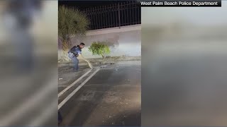 Florida police officers wrestle gator barehanded