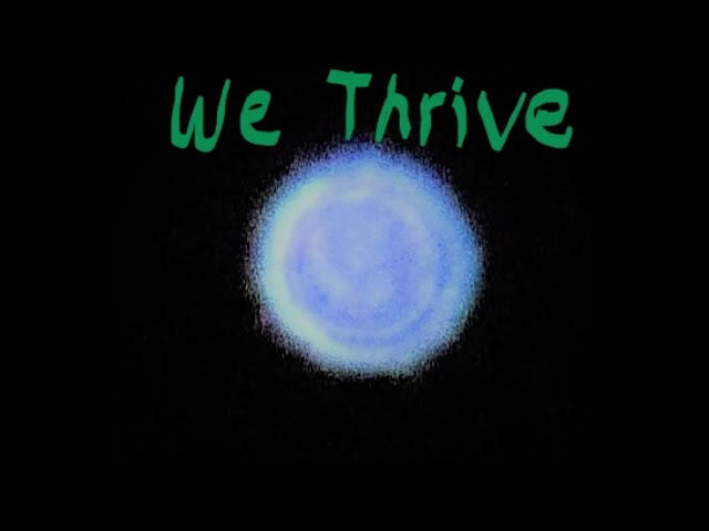 We Thrive (music)